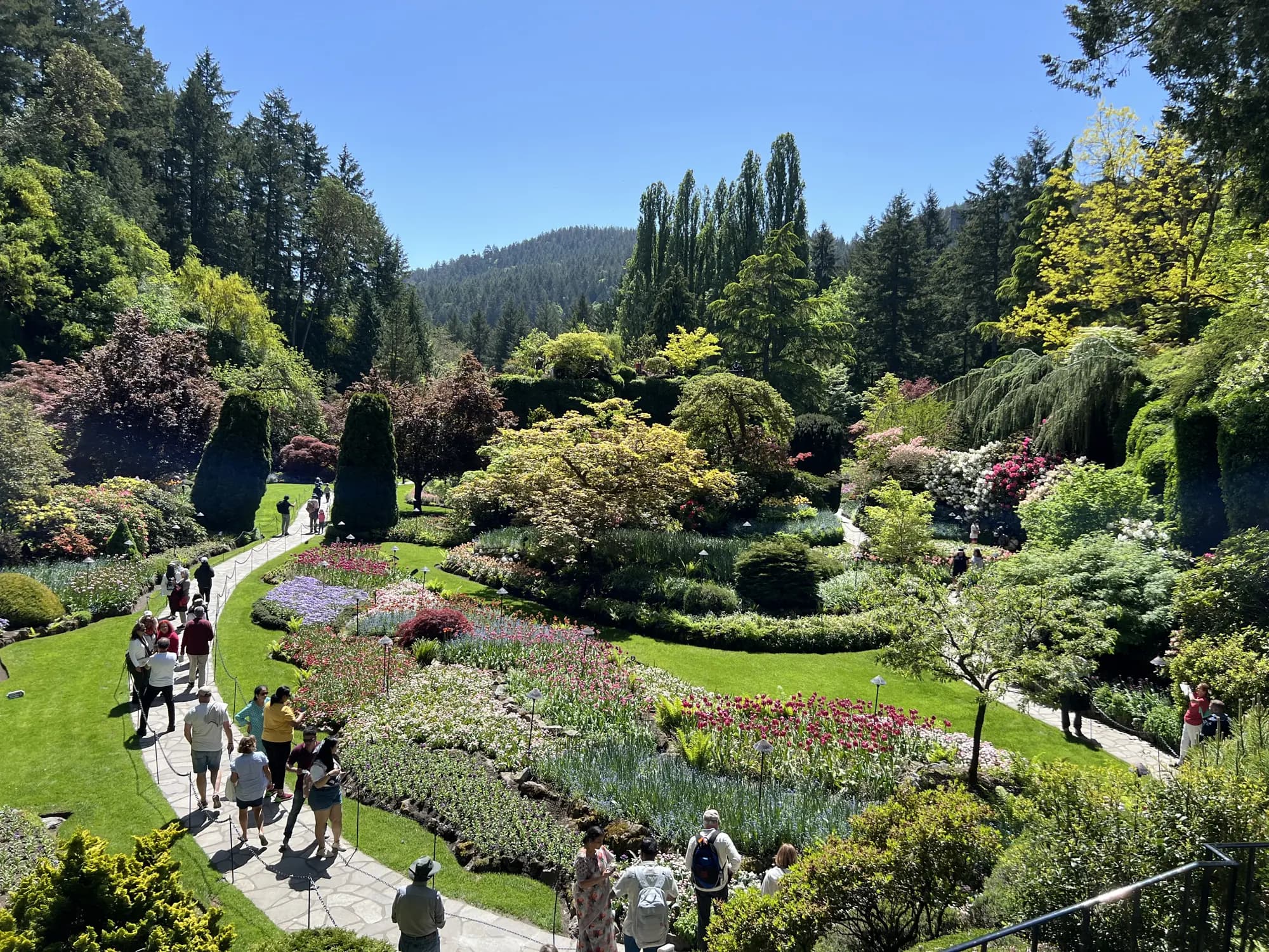 Passeio de um dia à Victoria