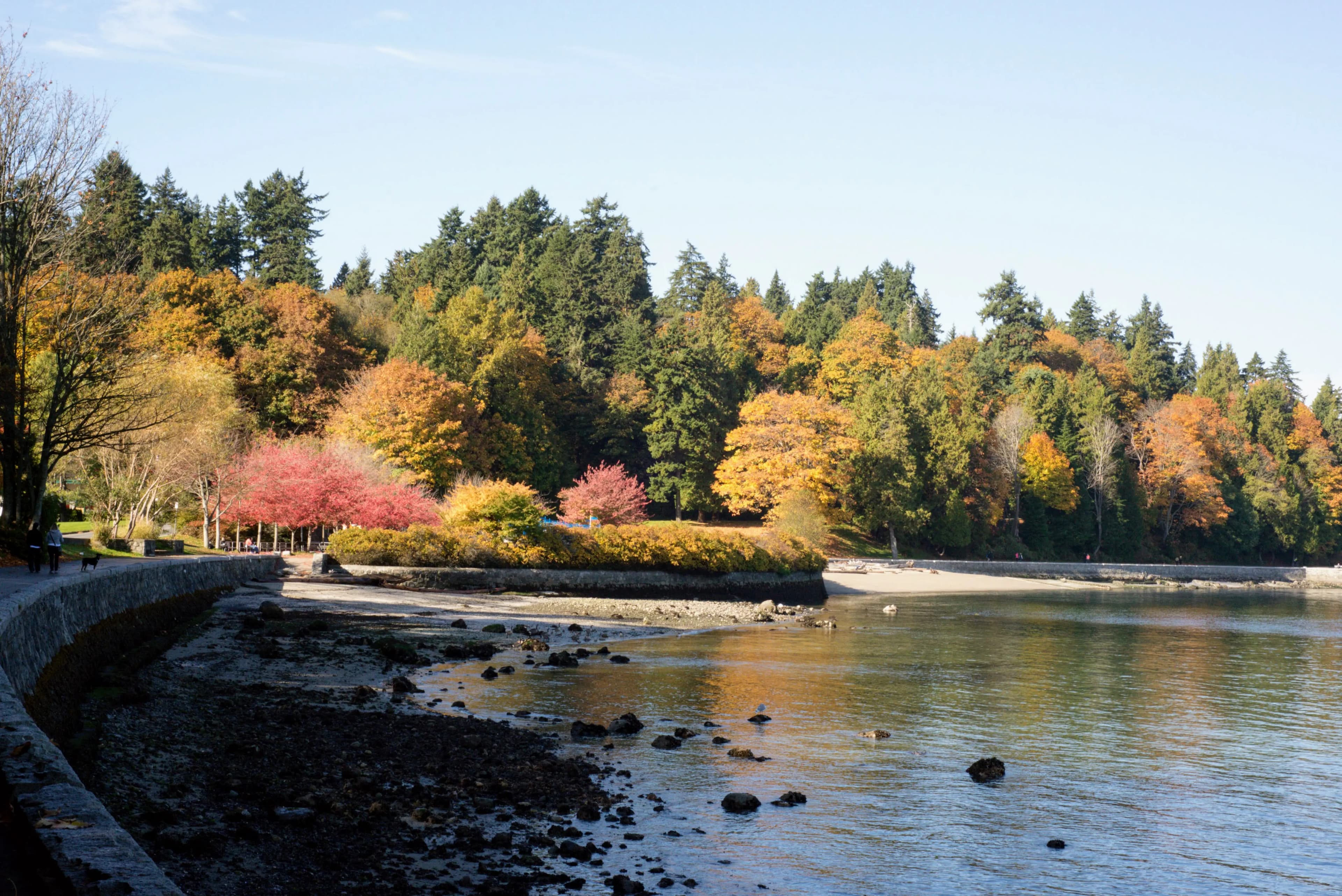 5 Razões para visitar Vancouver em Outubro