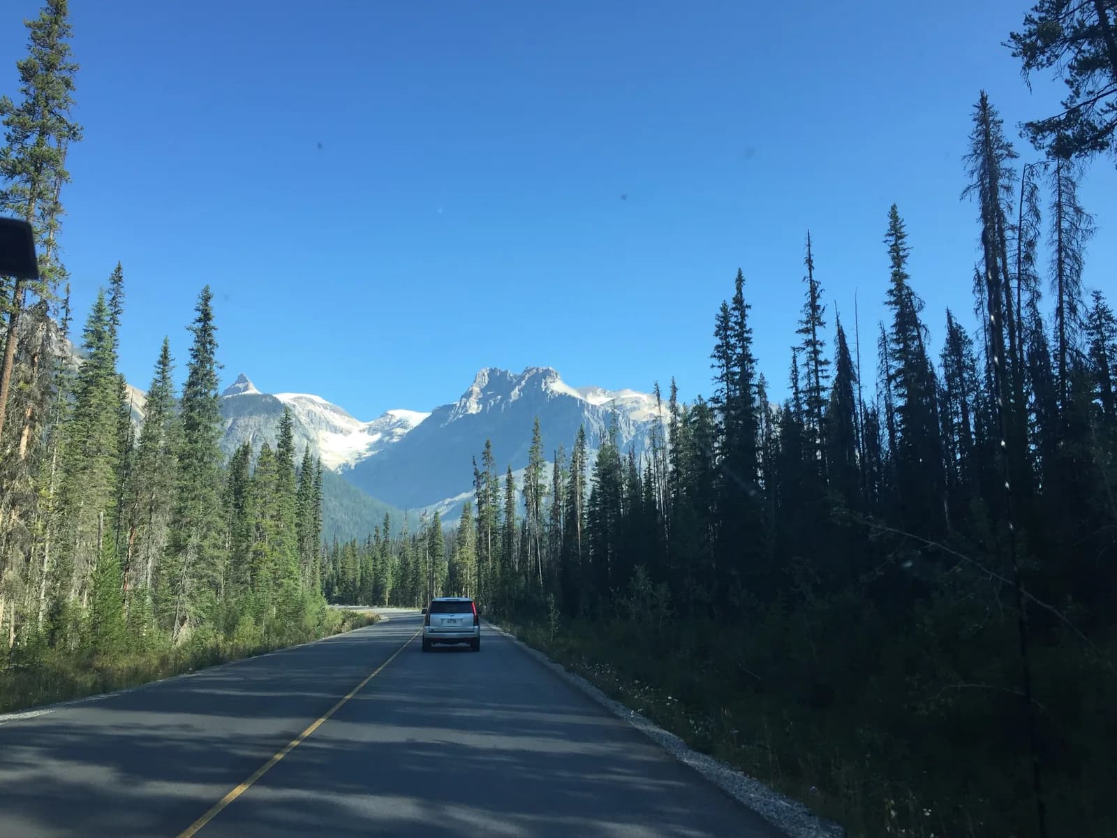 Scenic road cutting through the Canadian Rockies, seen from inside the private vehicle