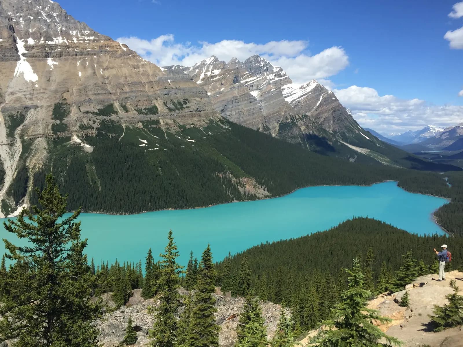 Tour privado en el Lago Peyto, con vista panorámica de las aguas turquesas en las Montañas Rocosas