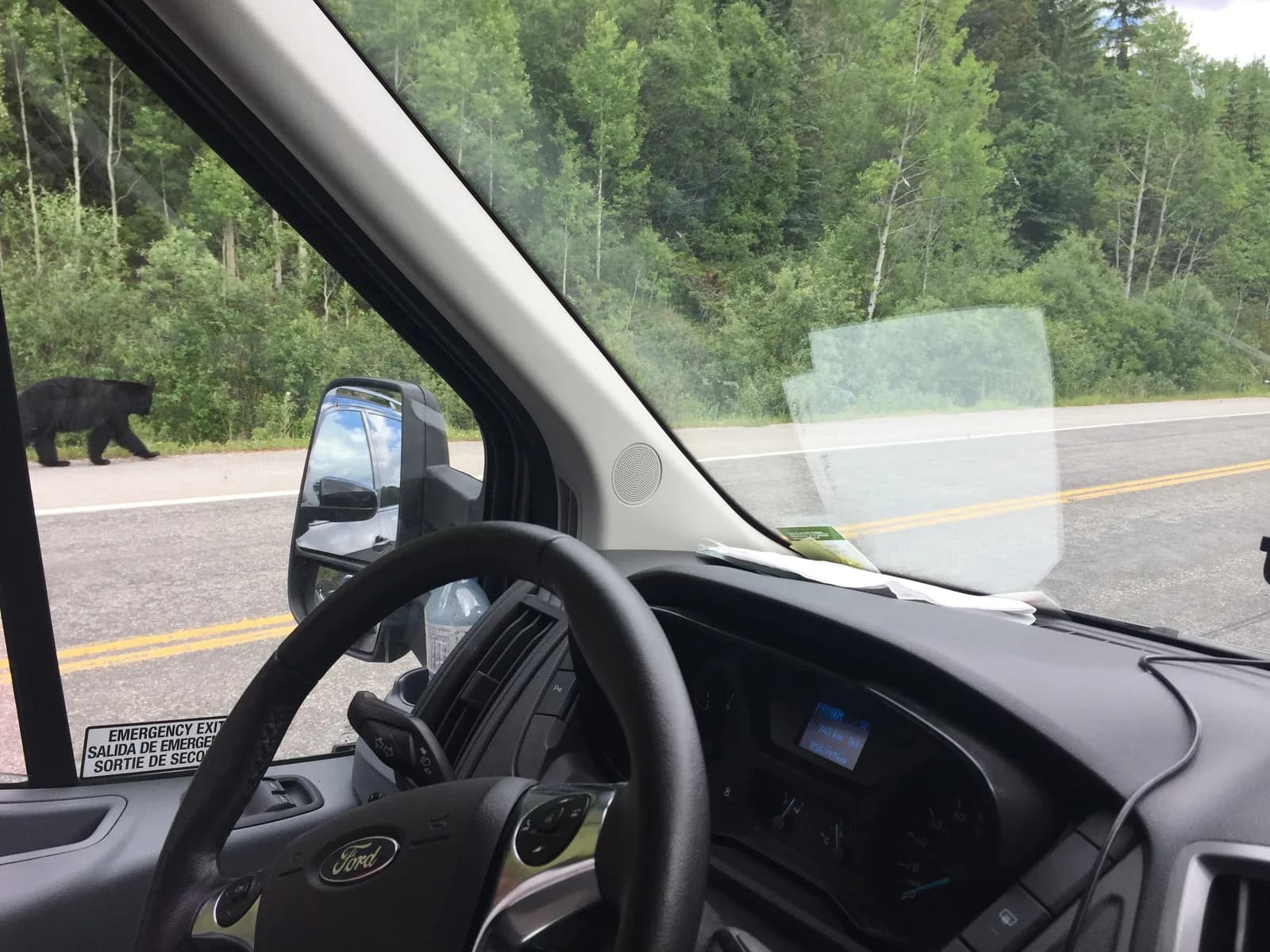 Bear safely spotted through the window of the private touring vehicle