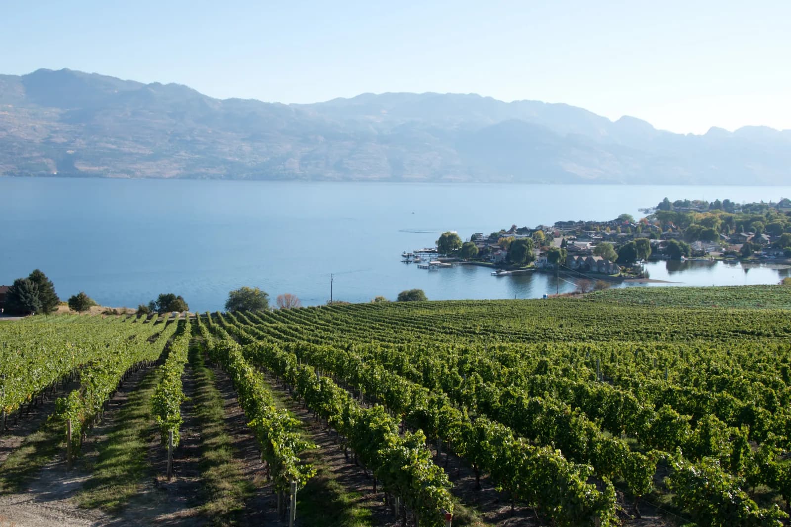 Okanagan Valley vineyards and lake in Kelowna, a stop on the Calgary to Vancouver route