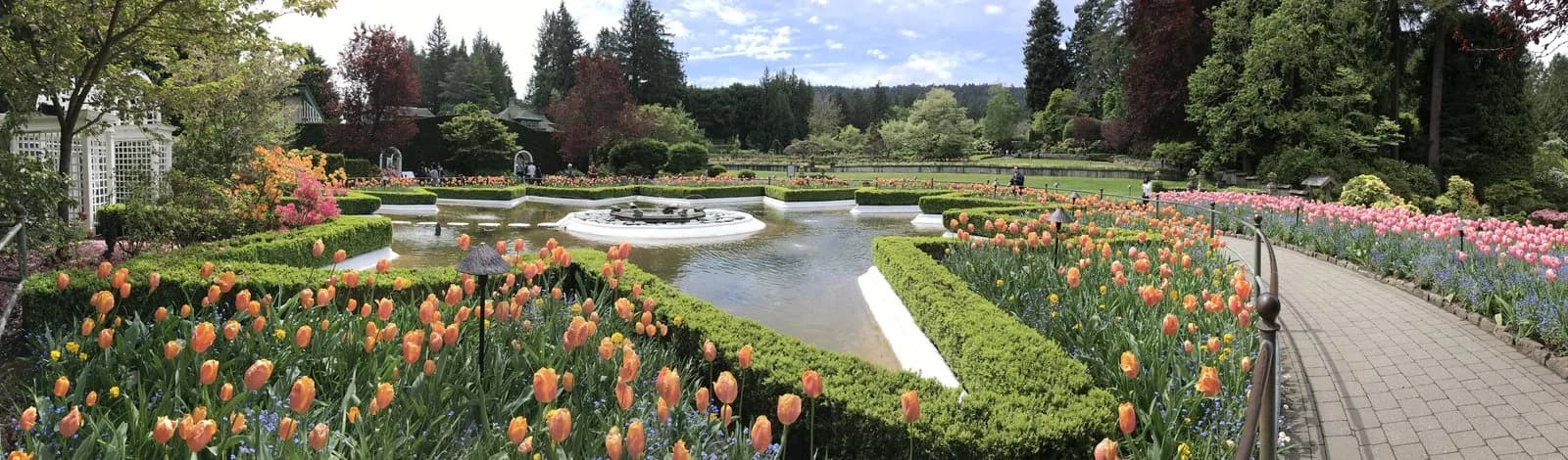 Fountain surrounded by colorful tulip beds in the Sunken Garden at Butchart Gardens