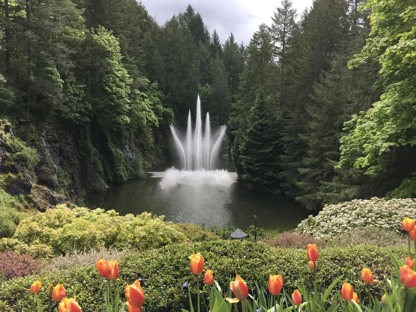 Ross Fountain surrounded by colorful tulips at Butchart Gardens