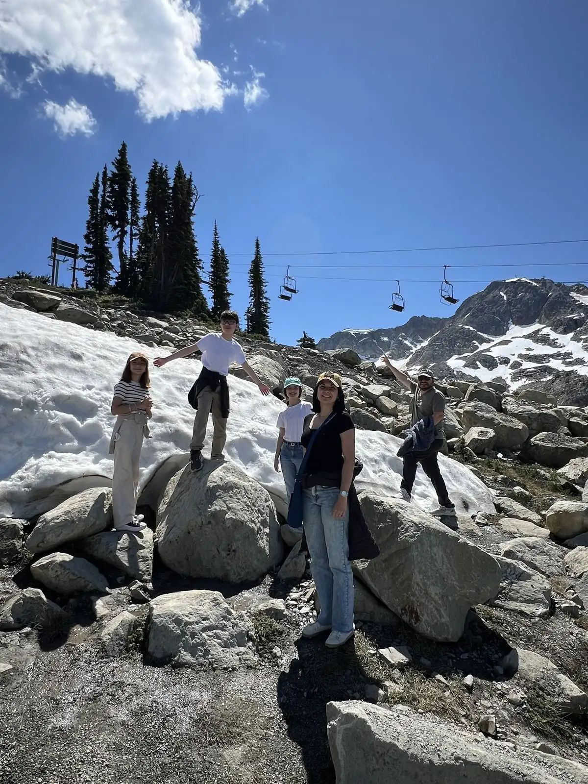 Group of clients enjoying the mountains during the private Whistler tour