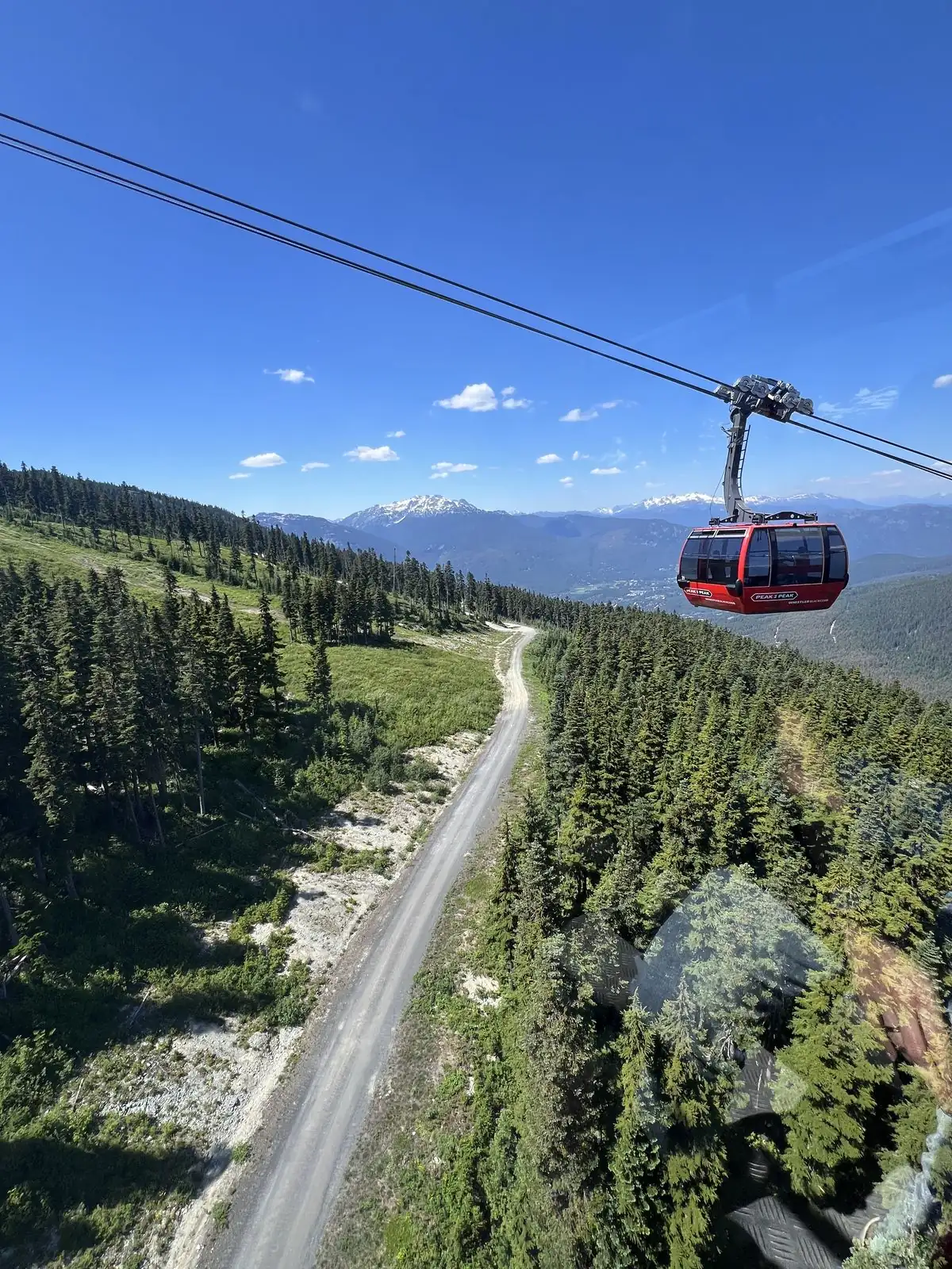 Red Peak 2 Peak gondola cabin over the forest in Whistler