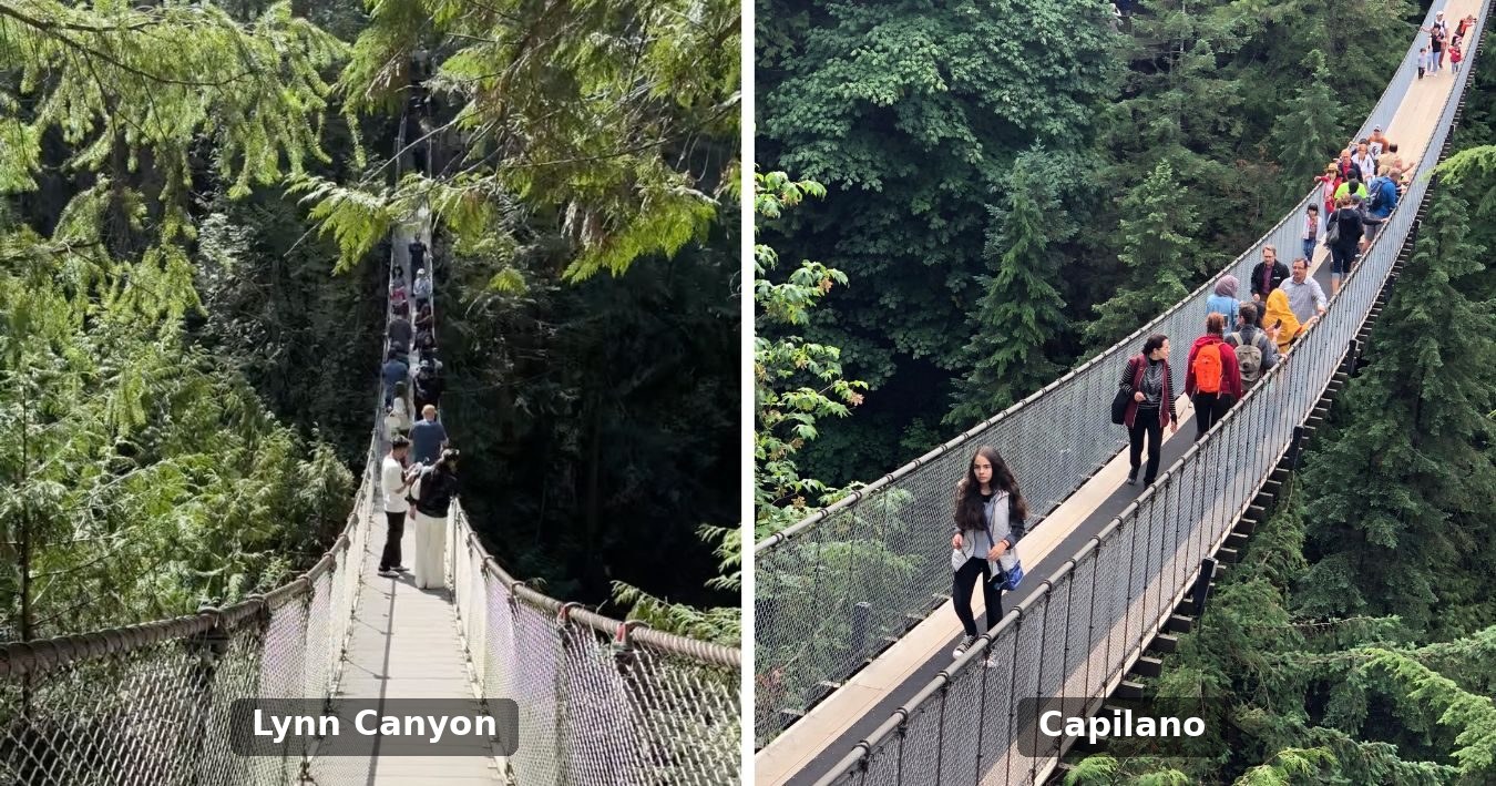 Comparativo Capilano vs Lynn Canyon