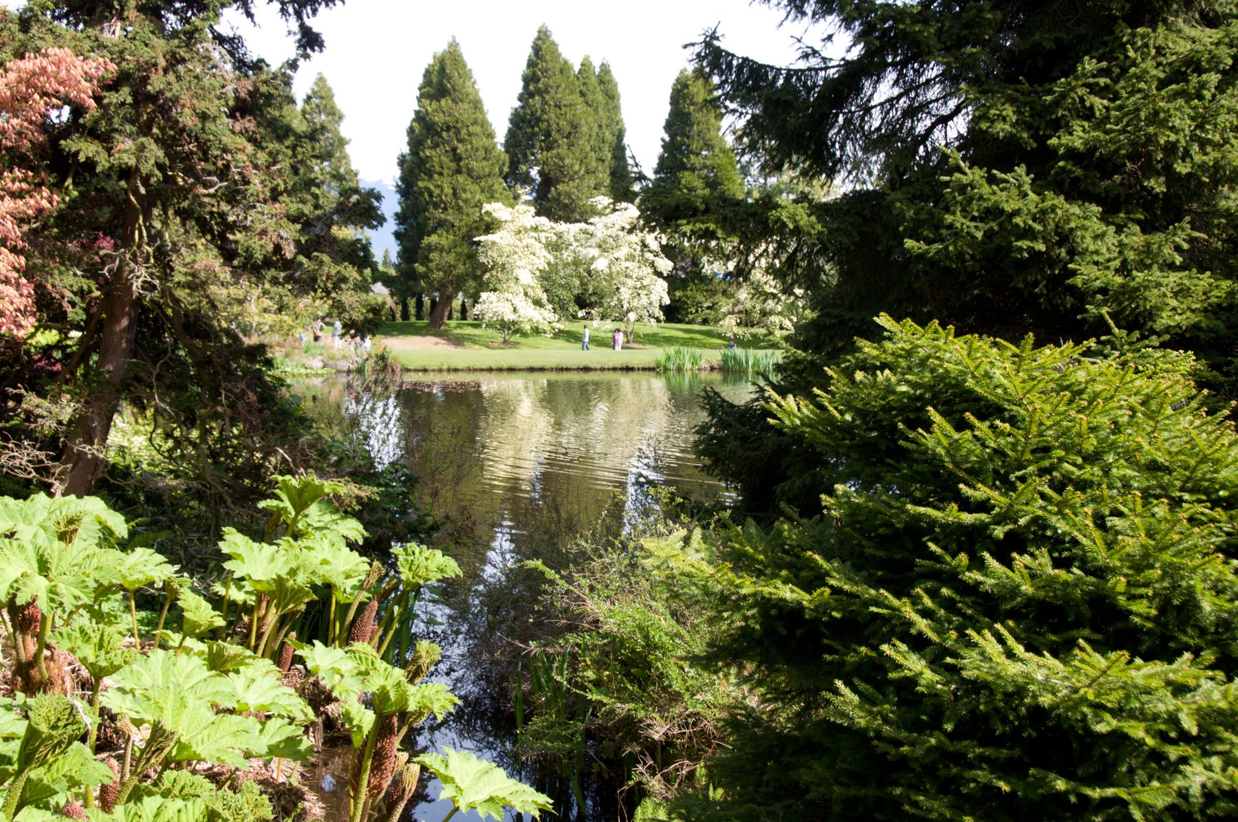 VanDusen Botanical Gardens