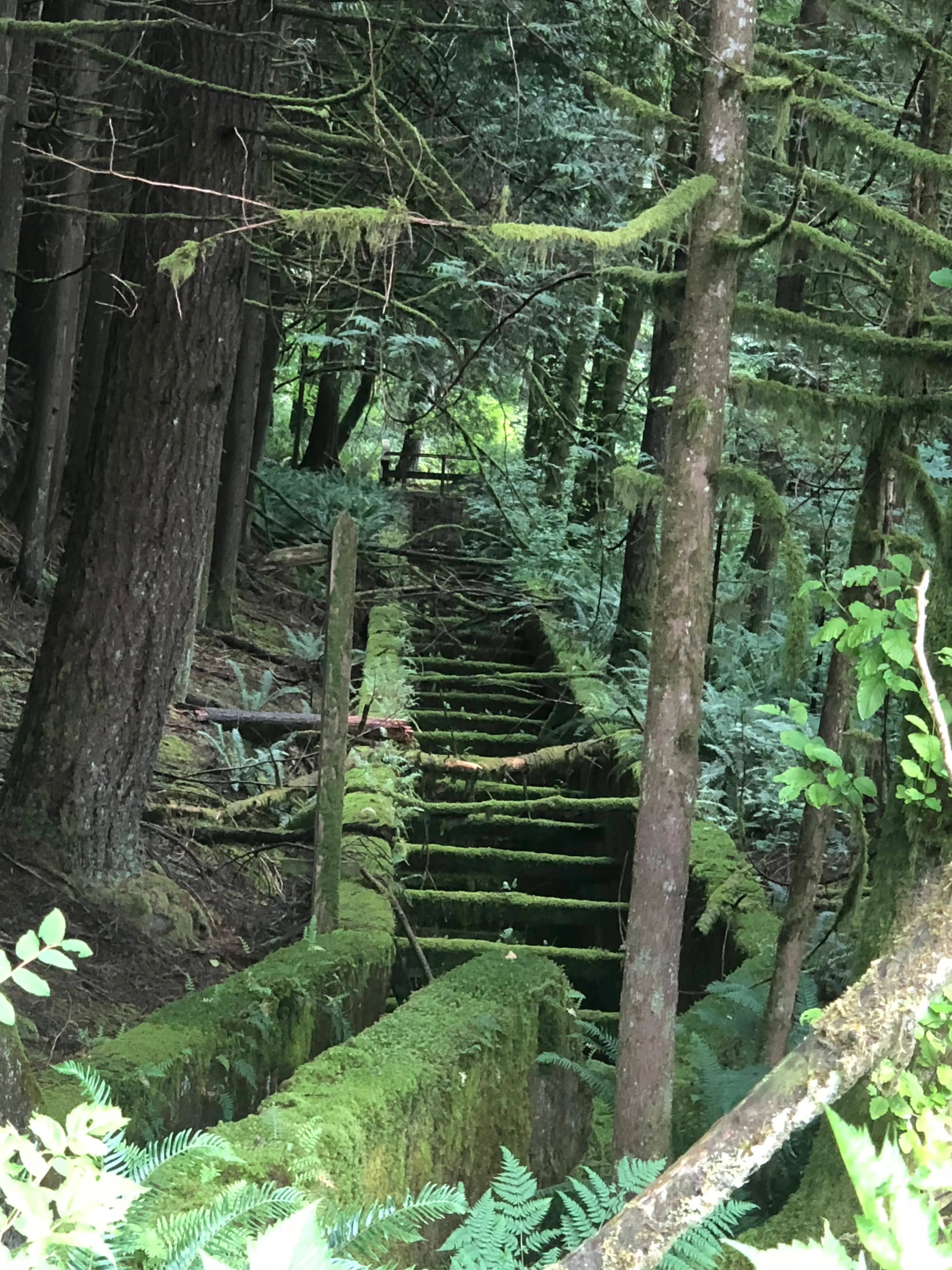Registro histórico da região do Rio Capilano no início do século XX