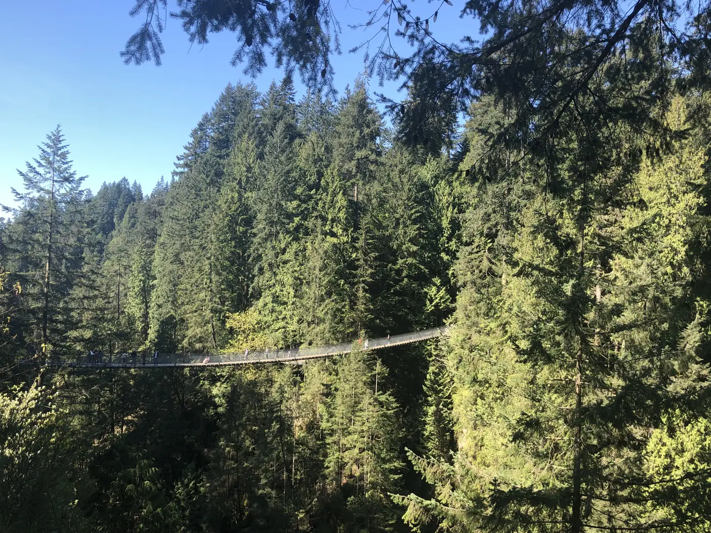 Ponte pênsil de Capilano cercada pela floresta de North Vancouver
