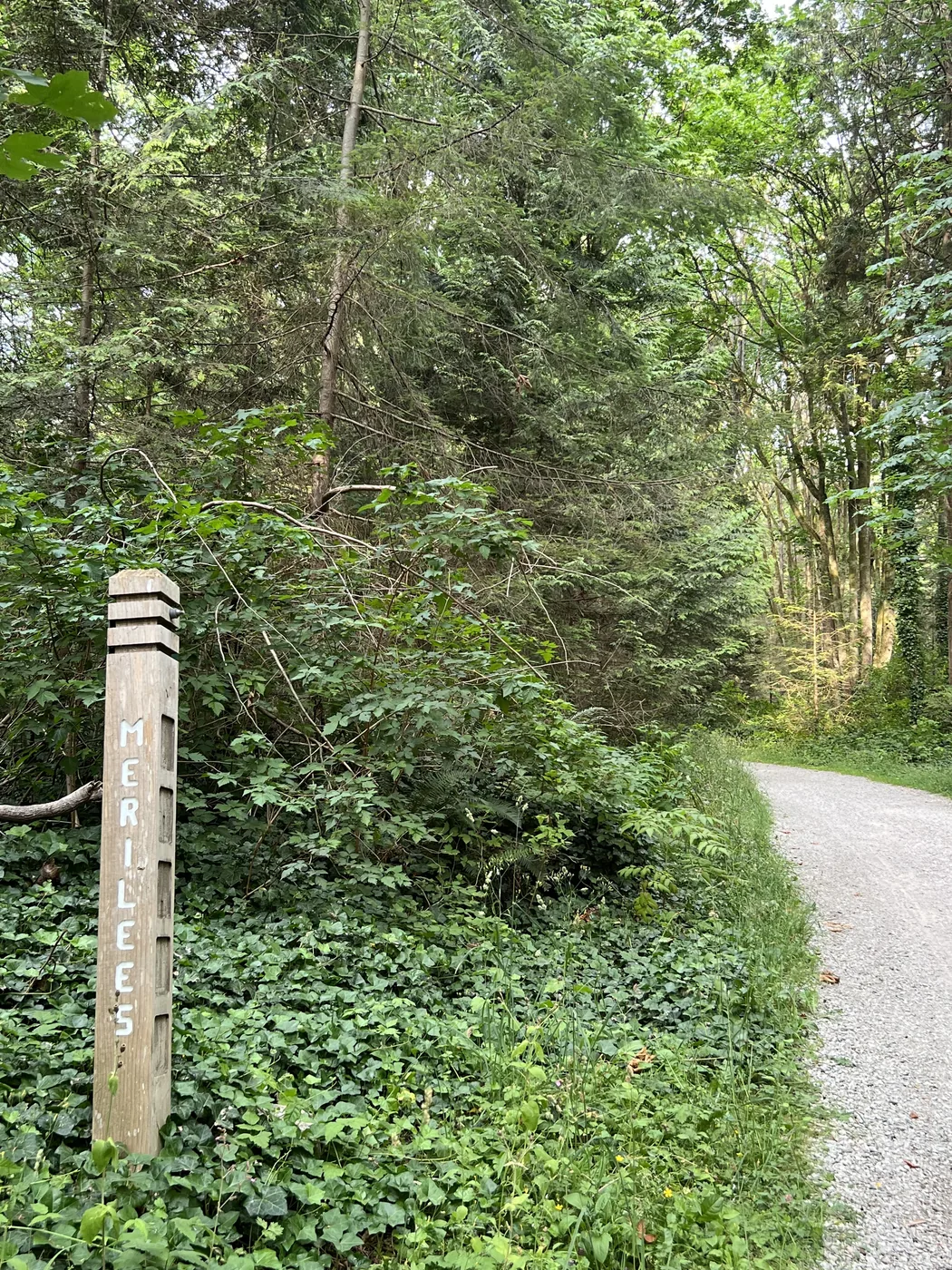 Placa da Merilees Trail, cercada de mata fechada, perto da Lost Lagoon
