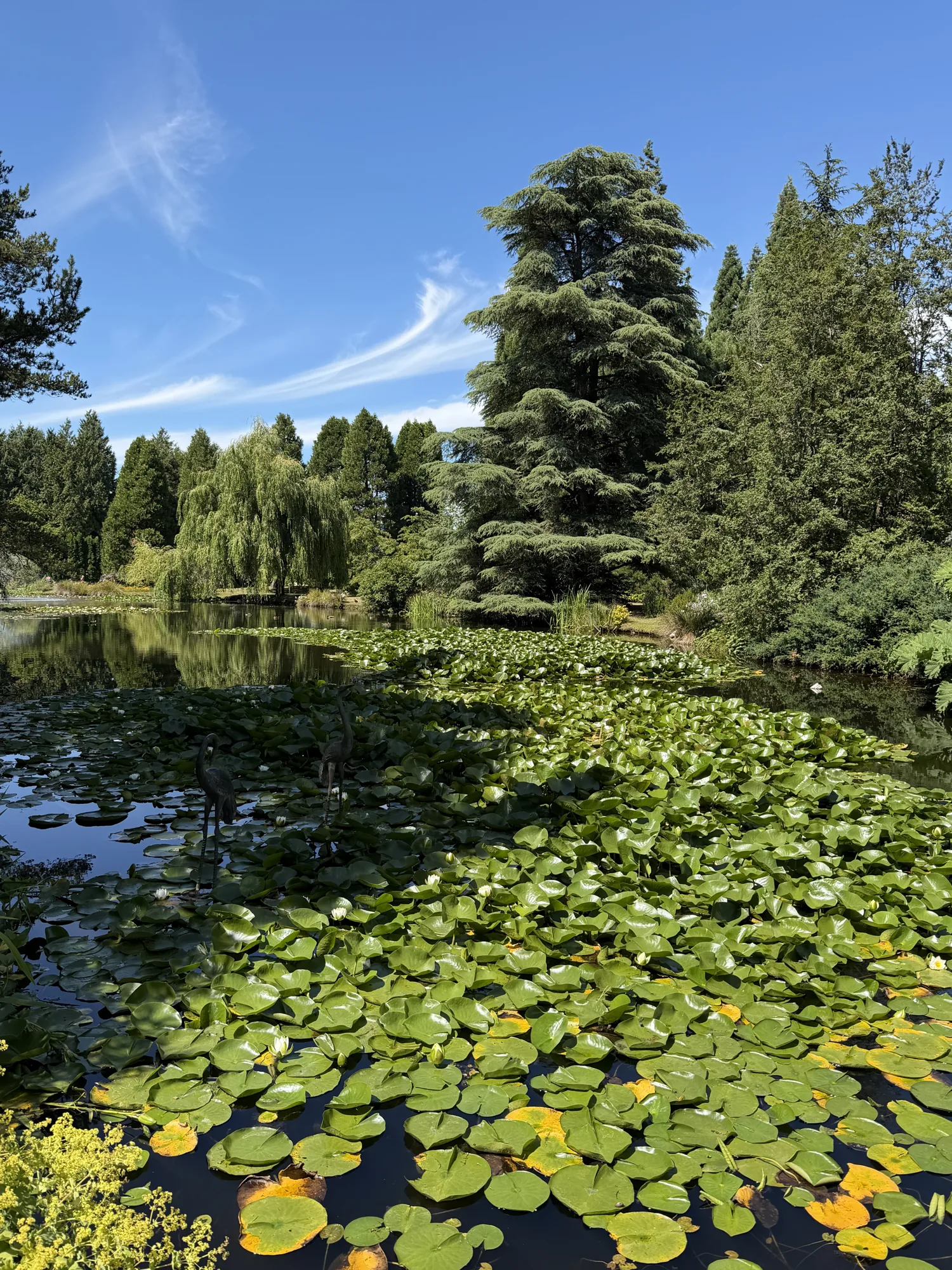 VanDusen Botanical Garden, em Vancouver