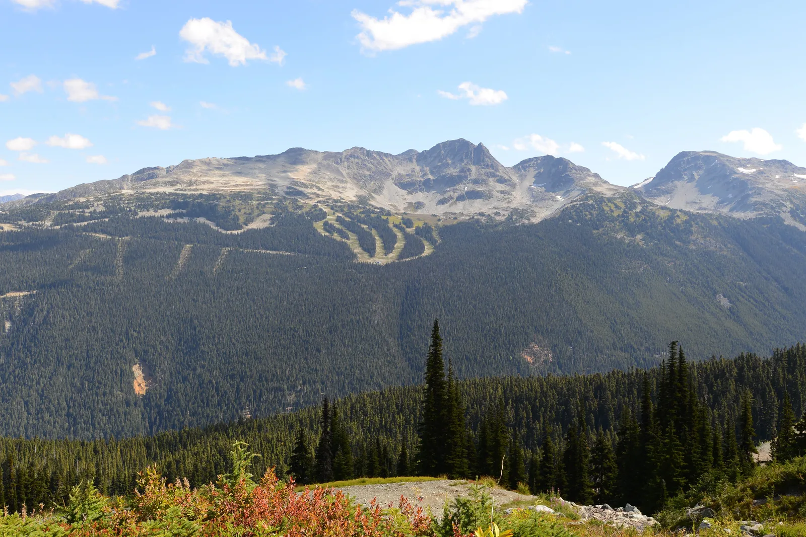 Montanhas de Whistler durante o verão